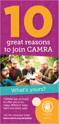 10 Reasons